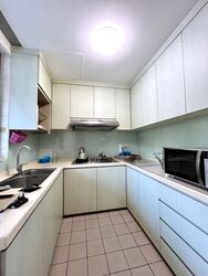 The Tropic Gardens (D16), Condominium #596855771